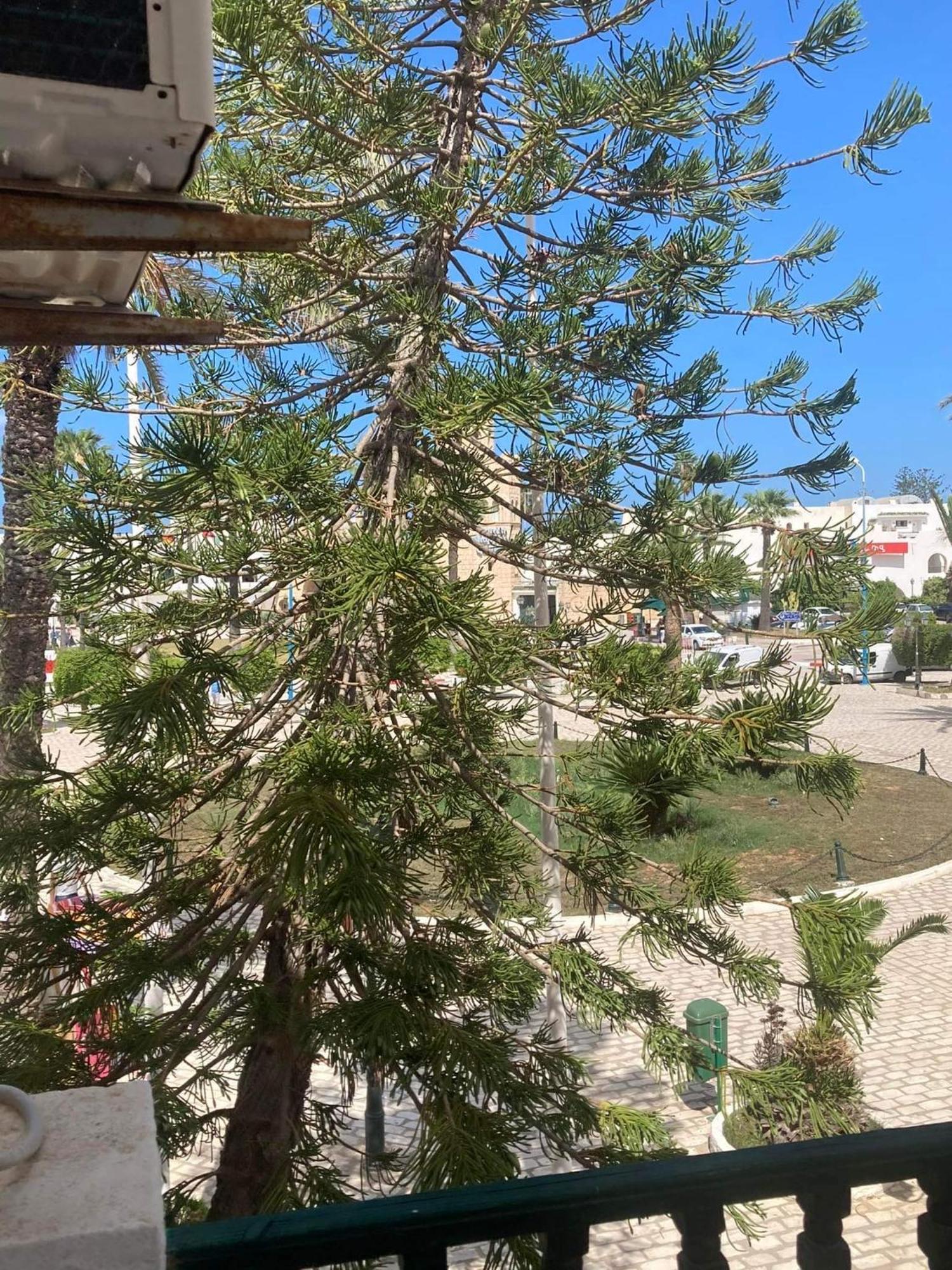 Marina Port Kantaoui Apartament *